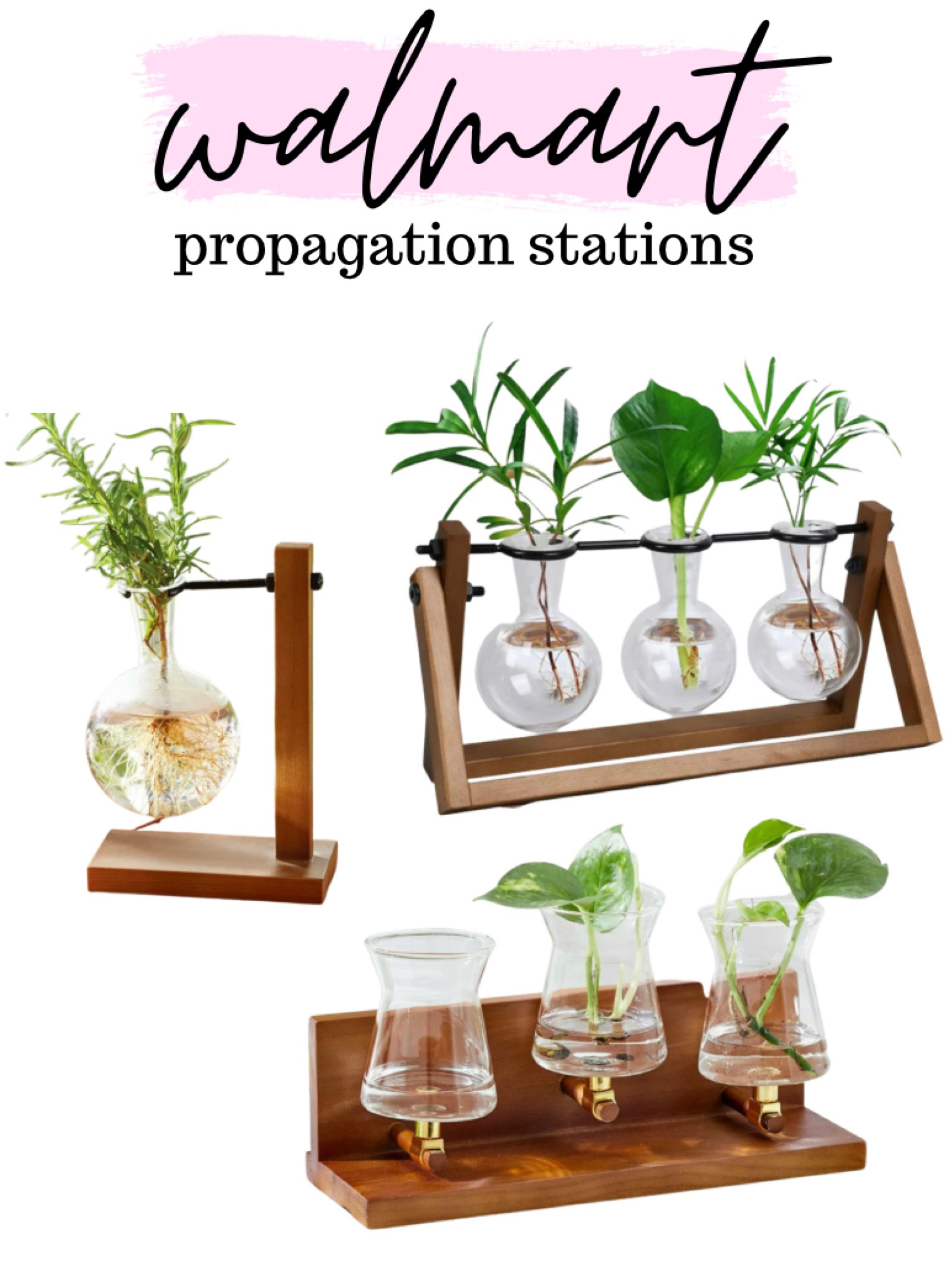 NEW Walmart #bhg propagation stations! 

#LTKhome
