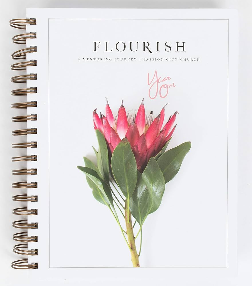 Flourish: A Mentoring Journey - Year One | Amazon (US)