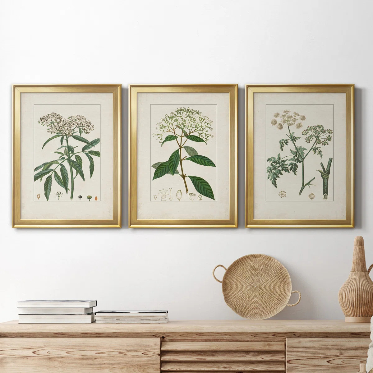 " Antique Turpin Botanical VII " 3 - Pieces Painting Print | Wayfair North America