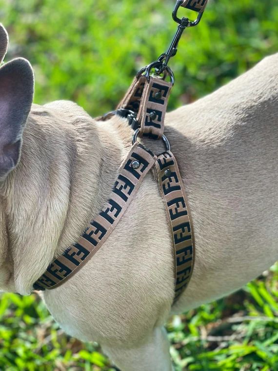 Luxury French Bulldog Dog Harness Collar and Leash | Etsy | Etsy (US)