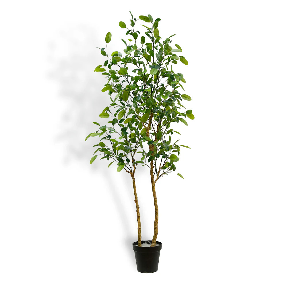 7' Citrus Lemon Tree – Vibrant Lifelike Greenery | CG Hunter