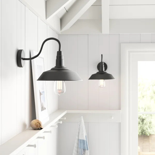 Harlow Iron Barn Light | Wayfair North America