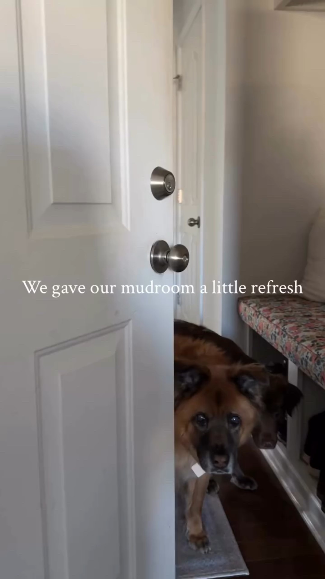 The first home project @wgandrdad ever did when we moved into this house was add the shelves and bench to the mudroom. 

Last year, we added this blue & white striped wallpaper (@scandinavian_wallpaper), freshened up the paint on the wall and trim, and added the mirror and sconces (from @coppermillmercantile) and added a new rug from @ruggable. 

See the full details here ➡️ https://imfixintoblog.com/mudroom-makeover-transform-your-space-with-the-perfect-wallpaper/