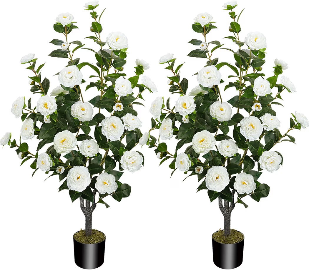 2 Pack 43.3"/3.6FT Artificial Camellia Tree Fake Outdoor Tree with 32 Blooming Flowers White Tree... | Amazon (US)