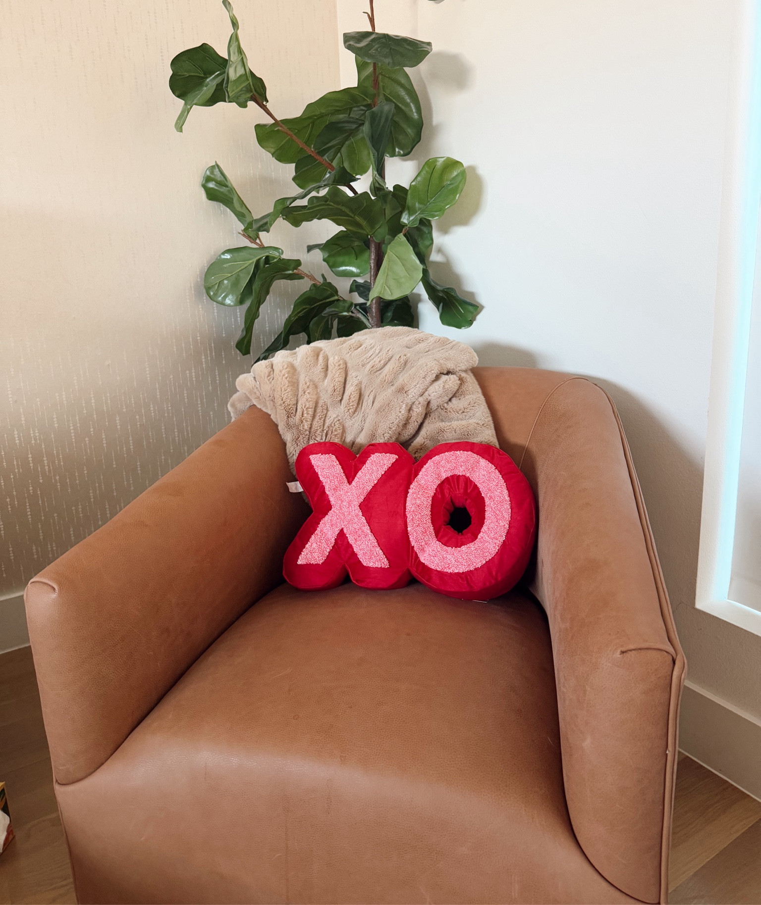 Cutest little Valentine’s Day find at target 😍do

#LTKHome #LTKStyleTip #LTKFindsUnder50