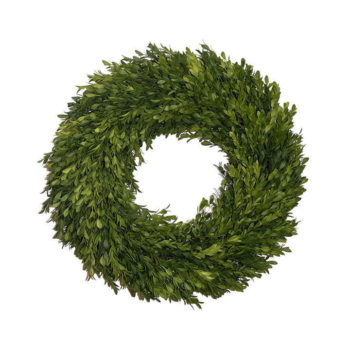 Round Boxwood Wreath - 18" | Fig and Dove