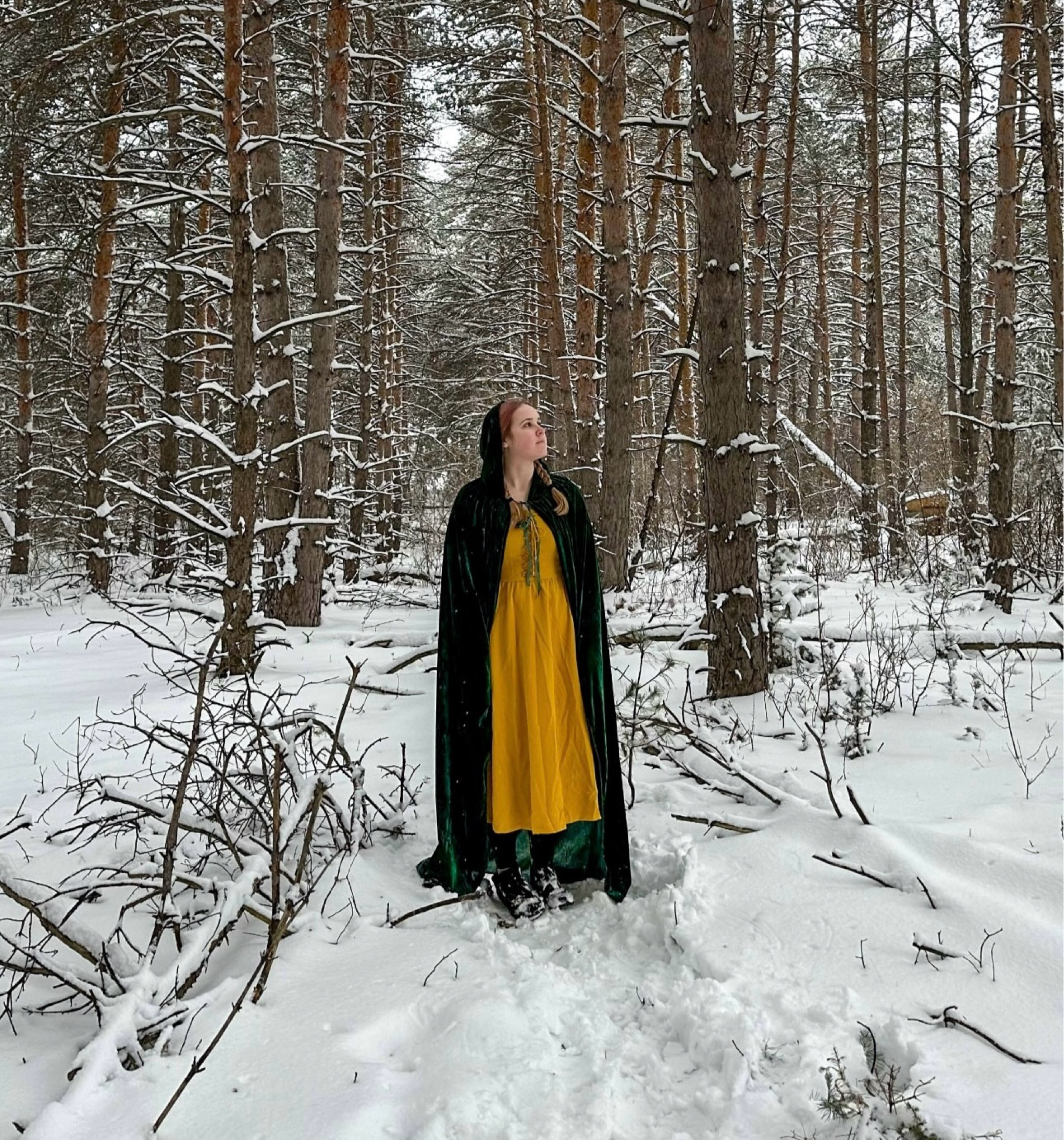 evermore dress + cape