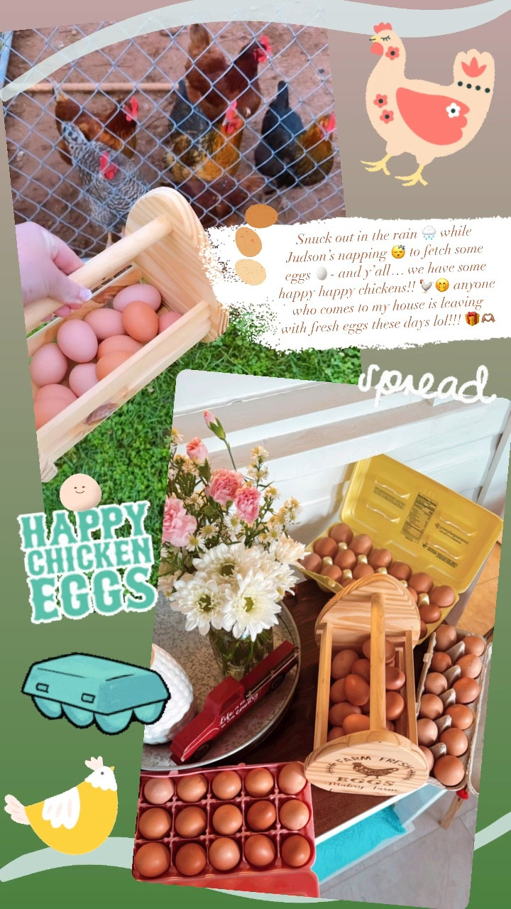 Snuck out in the rain 🌧️ while Judson’s napping 😴 to fetch some eggs 🥚- and y’all… we have some happy happy chickens!! 🐓🤭 anyone who comes to my house is leaving with fresh eggs these days lol!!! 🎁🫶🏽

#LTKHome #LTKFamily