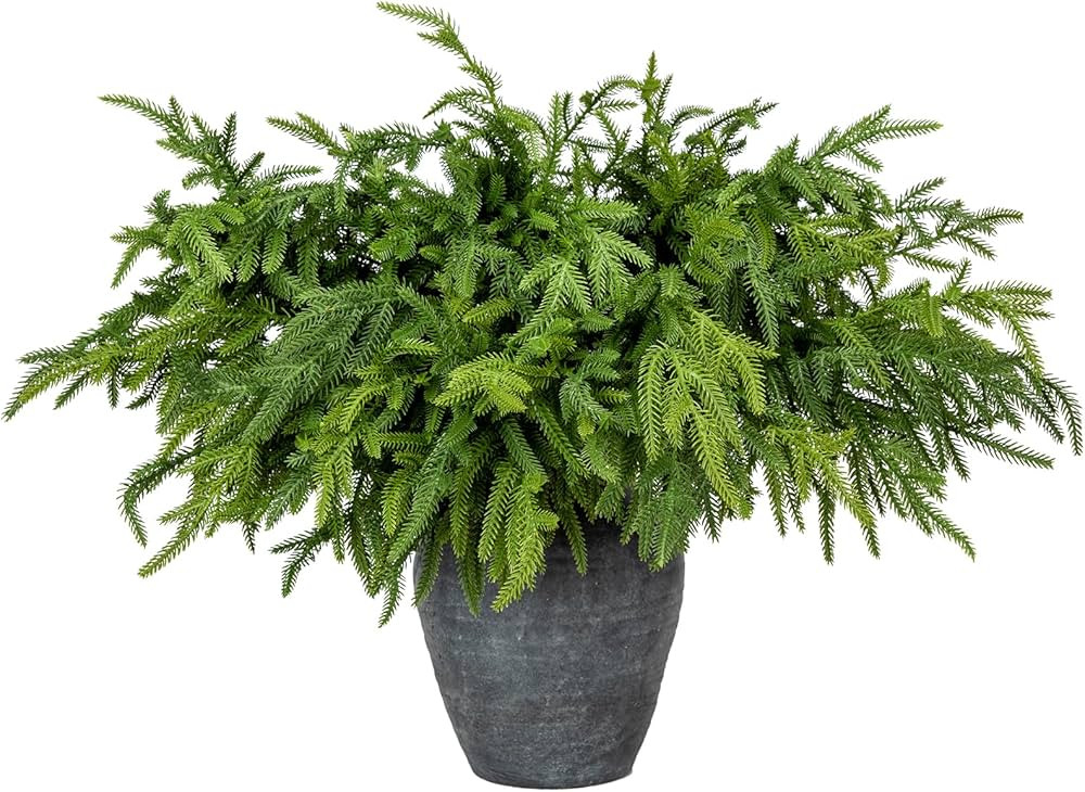 Briful 12PCS Christmas Norfolk Pine Branches Real Touch Norfolk Pine Stems DIY Crafts Artificial ... | Amazon (US)