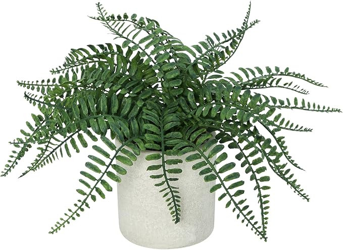 DuHouse Artificial Fern Potted Plant, Fake Greenery Plants in Pot, Faux Plant for Home Office Des... | Amazon (US)