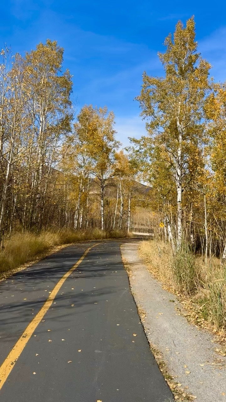 Cruising into the weekend on our e-bikes! We’ve loved having these this summer… I can’t wait to do some fall riding. 

#LTKSeasonal #LTKActive