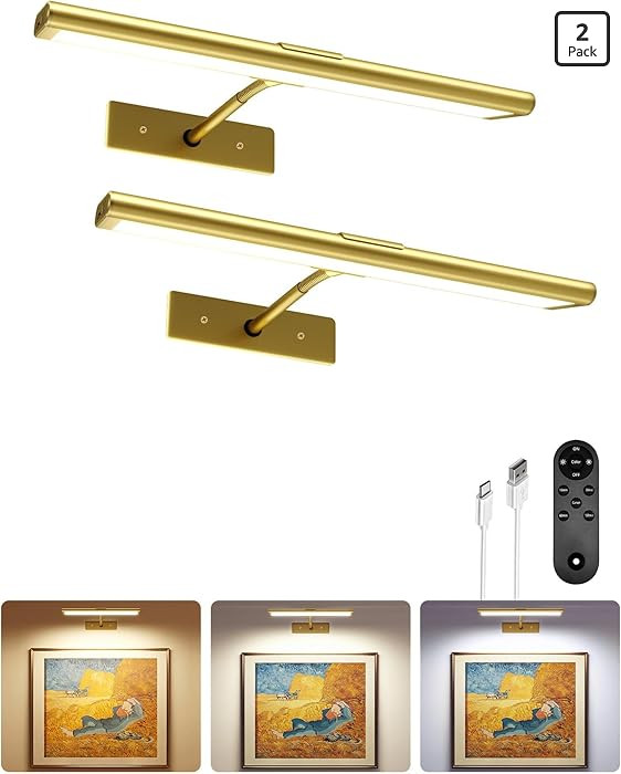 Picture Light for Wall, 4800mAh Rechargeable Wireless Remote, Dimmable Magnetic LED Art Display L... | Amazon (US)