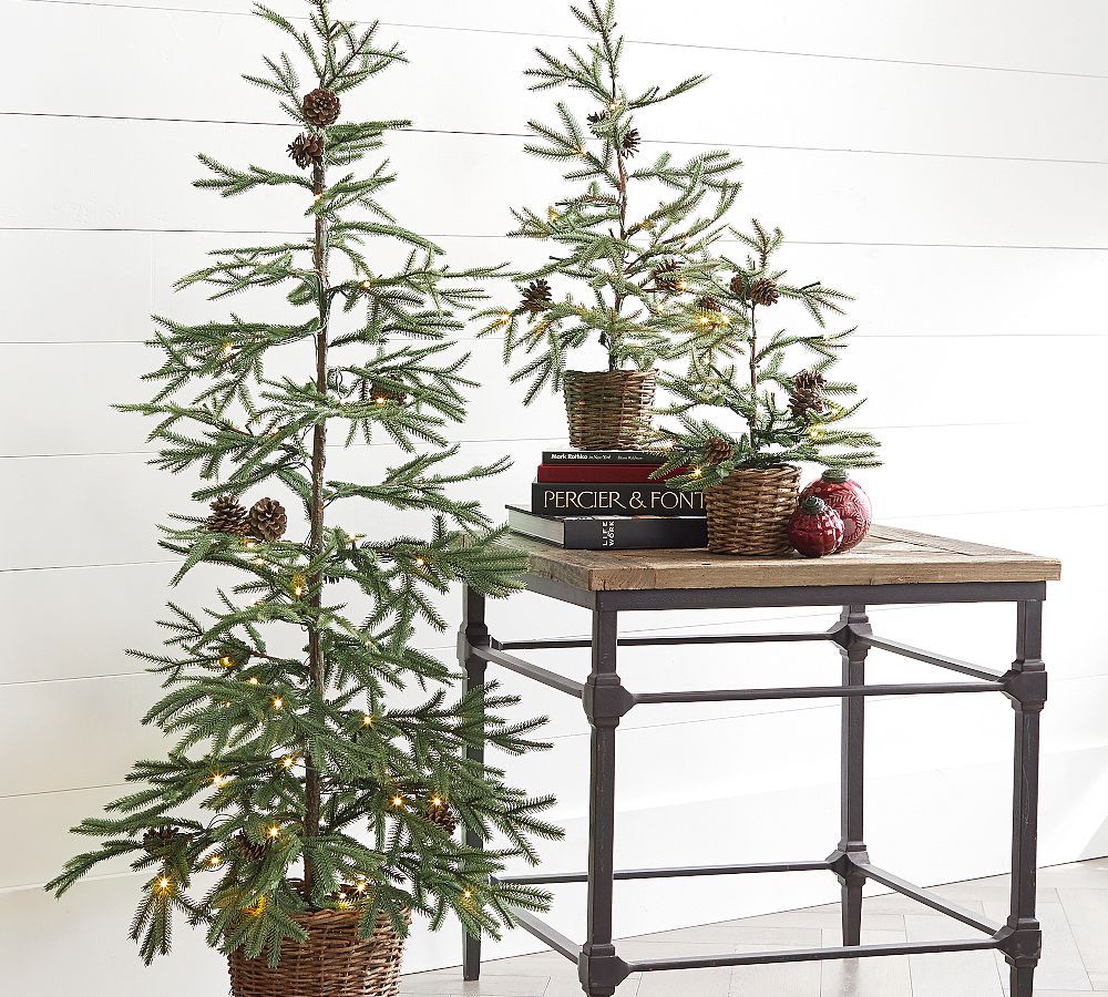 Lit Faux Pine Trees in Basket | Pottery Barn (US)