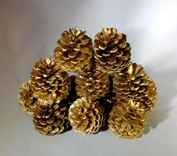 12 Cape Cod Gold Pine Cones Hand Painted All Natural Premium Quality Cones Grown in The Woods of ... | Amazon (US)