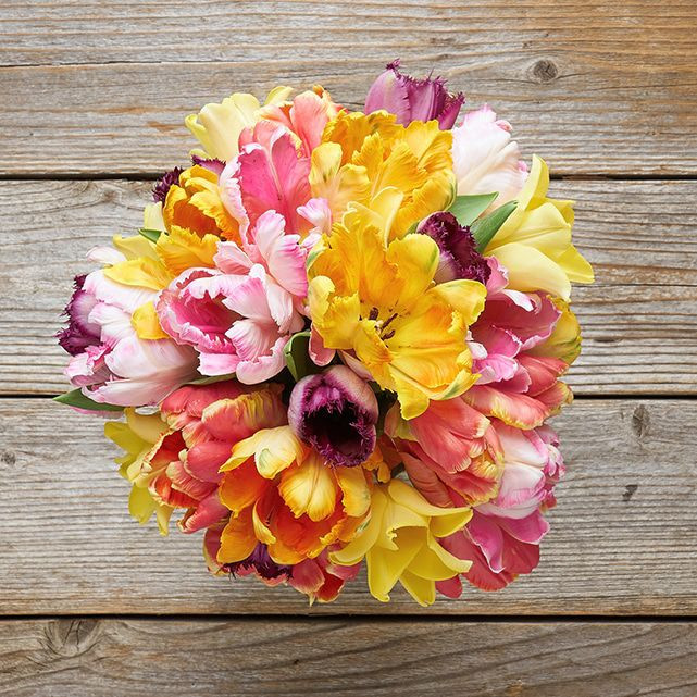 Strength | The Bouqs