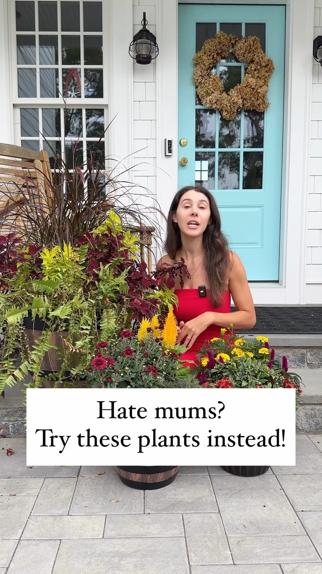 Not a fan of mums? Can’t use them because you get too much sun? Try these plants instead!

PS I’ve totally lost my voice. This was the last video I was able to record before it gave out on me.  #gardening #fallhomedecor #fallporchdecor #fallgarden #mums