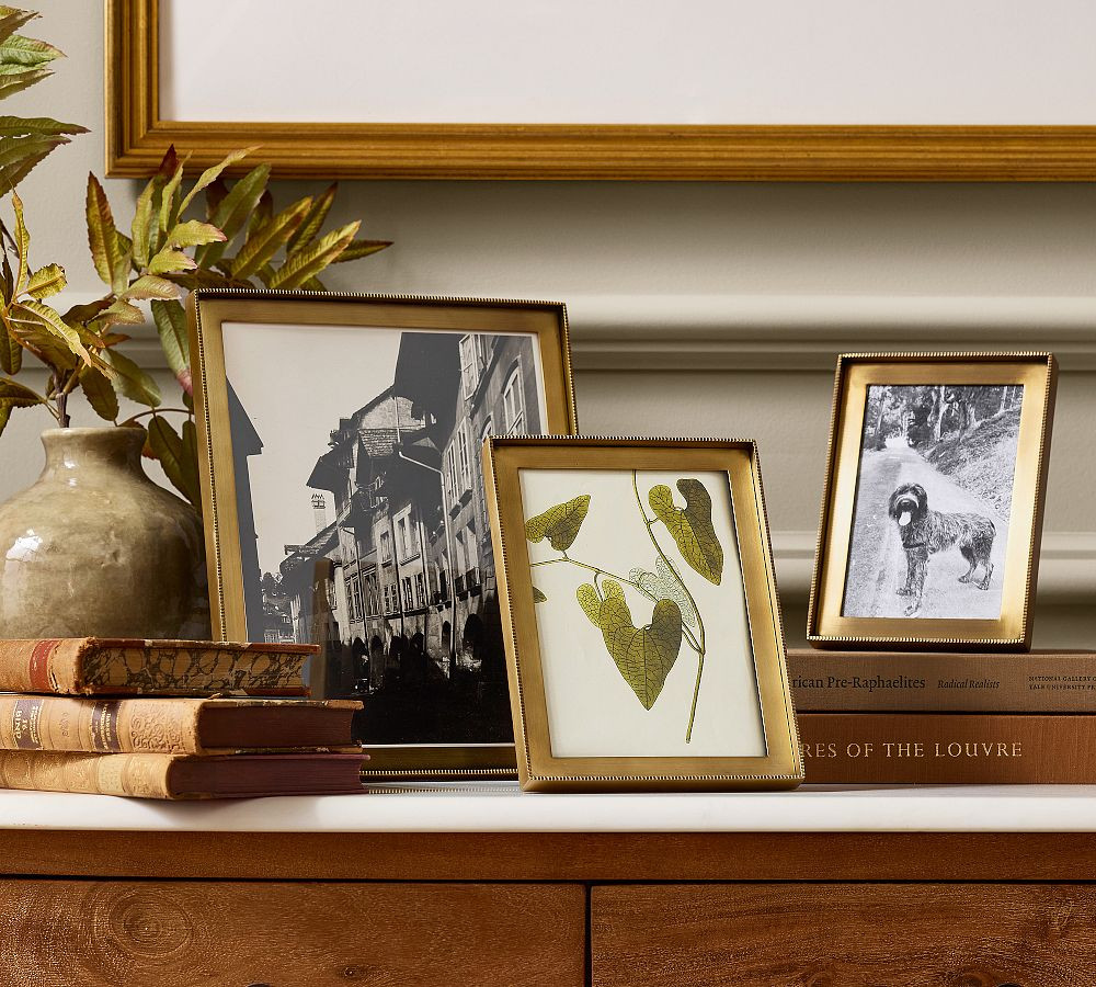 Carter Frames | Pottery Barn (US)
