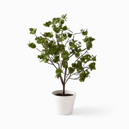 Faux Potted Wire Netting Bush Plant | West Elm (US)