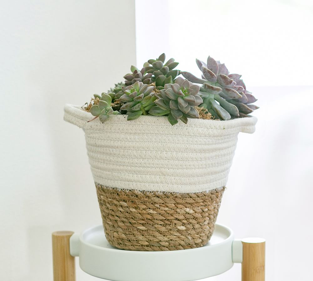 Pottery Barn | Pottery Barn (US)