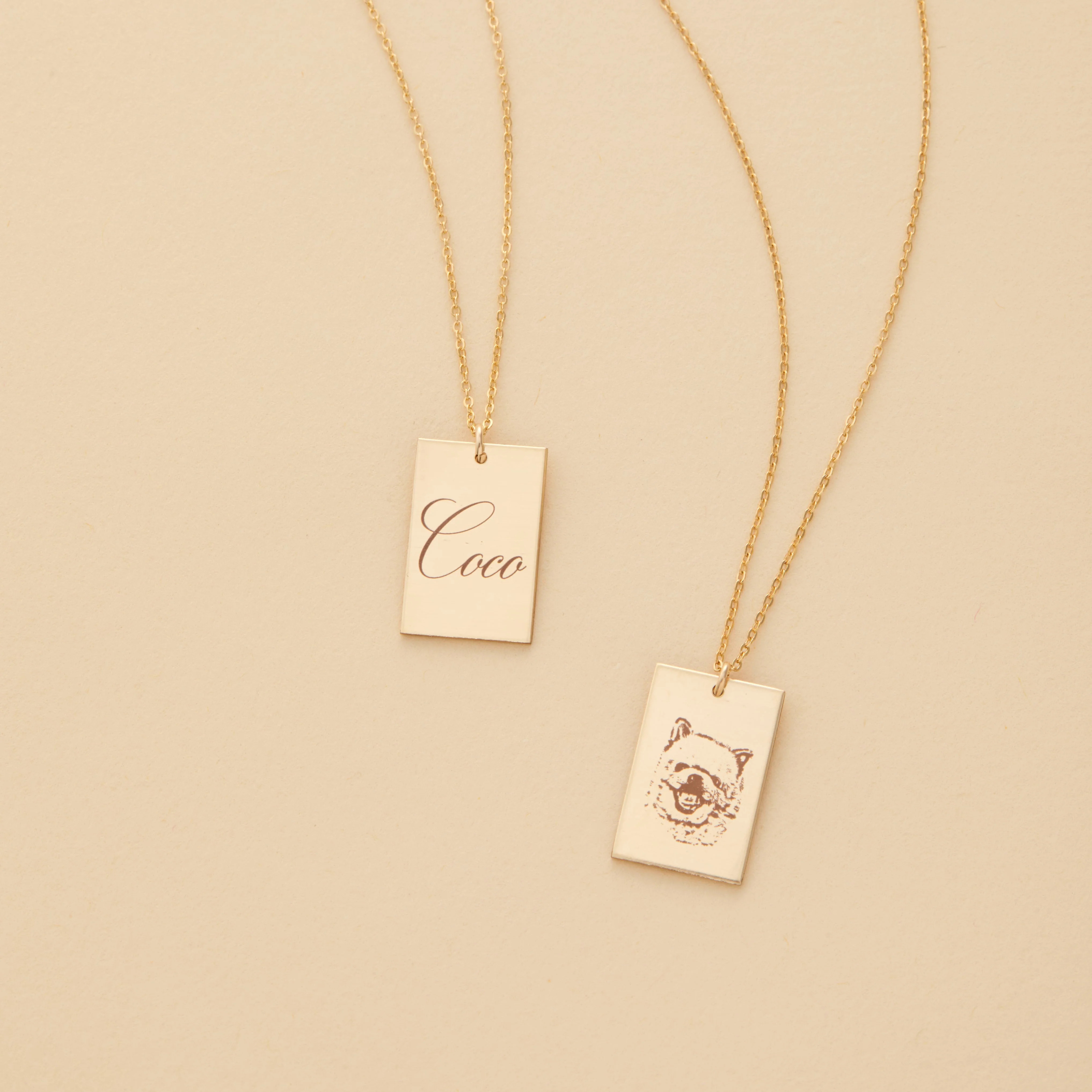 Pet Portrait Necklace | Set & Stones