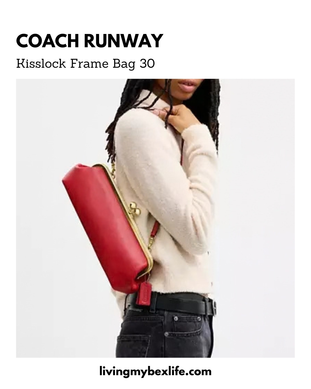 Kisslock Frame Bag 30 in Glovetan Leather/Brass/Poppy | runway fall 2026, nyfw, new york fashion week, luxury handbags 

 #LTKootd #LTKU #LTKOver40
