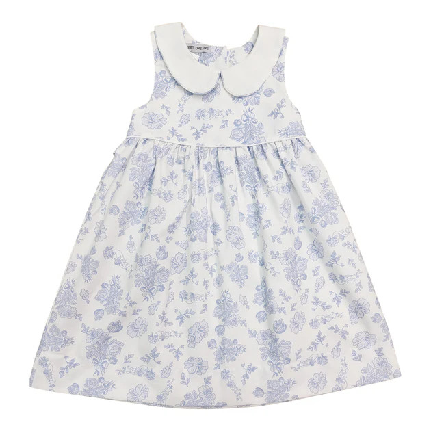 Blue Floral Toile Collared Dress | Classic Whimsy