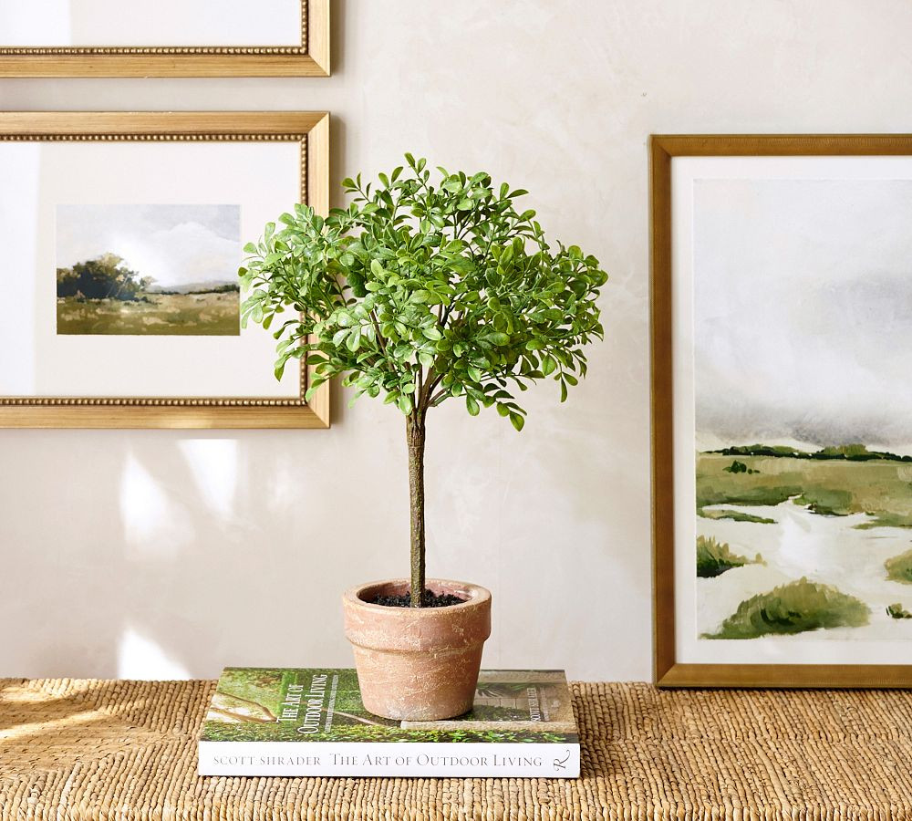 Faux Boxwood Topiary | Pottery Barn (US)