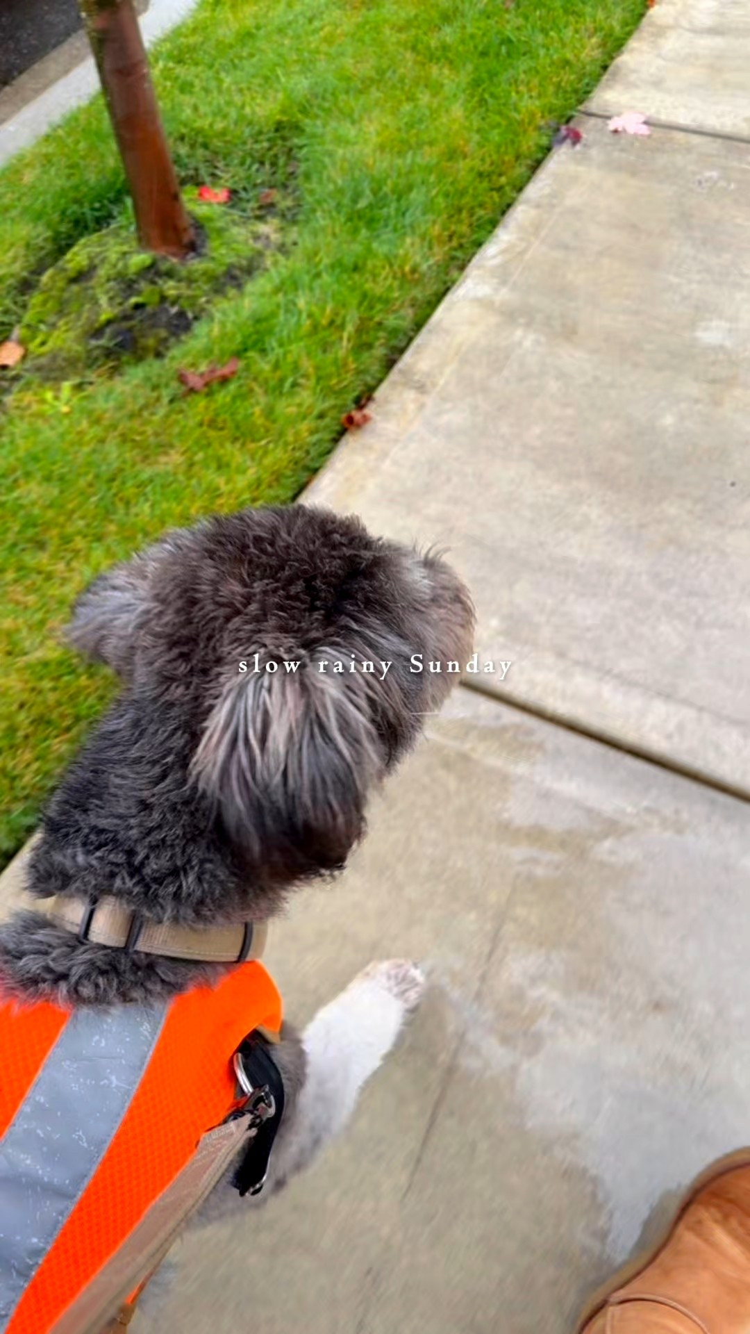 A rainy Sunday calls for a heated blanket! This cream colored cozy blanket is a literal dream and from Amazon! 

#LTKFindsUnder100 #LTKSeasonal #LTKHome