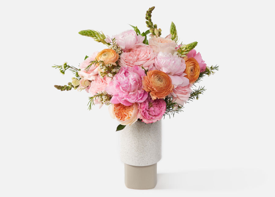 The Maia | UrbanStems