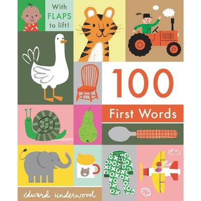 100 First Words - By Various ( Hardcover ) | Target