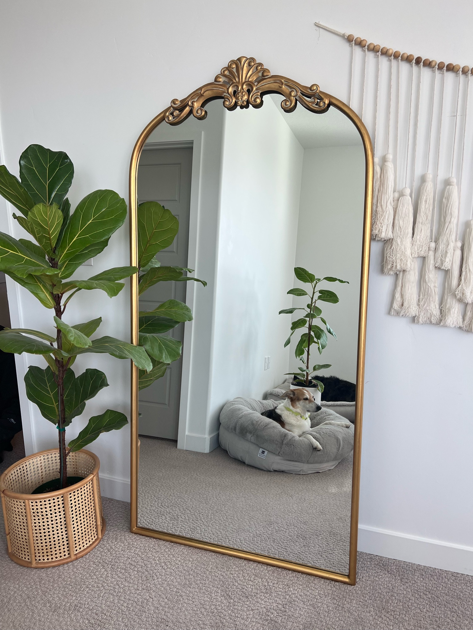 #LTKhome #LTKGiftGuide #LTKFind