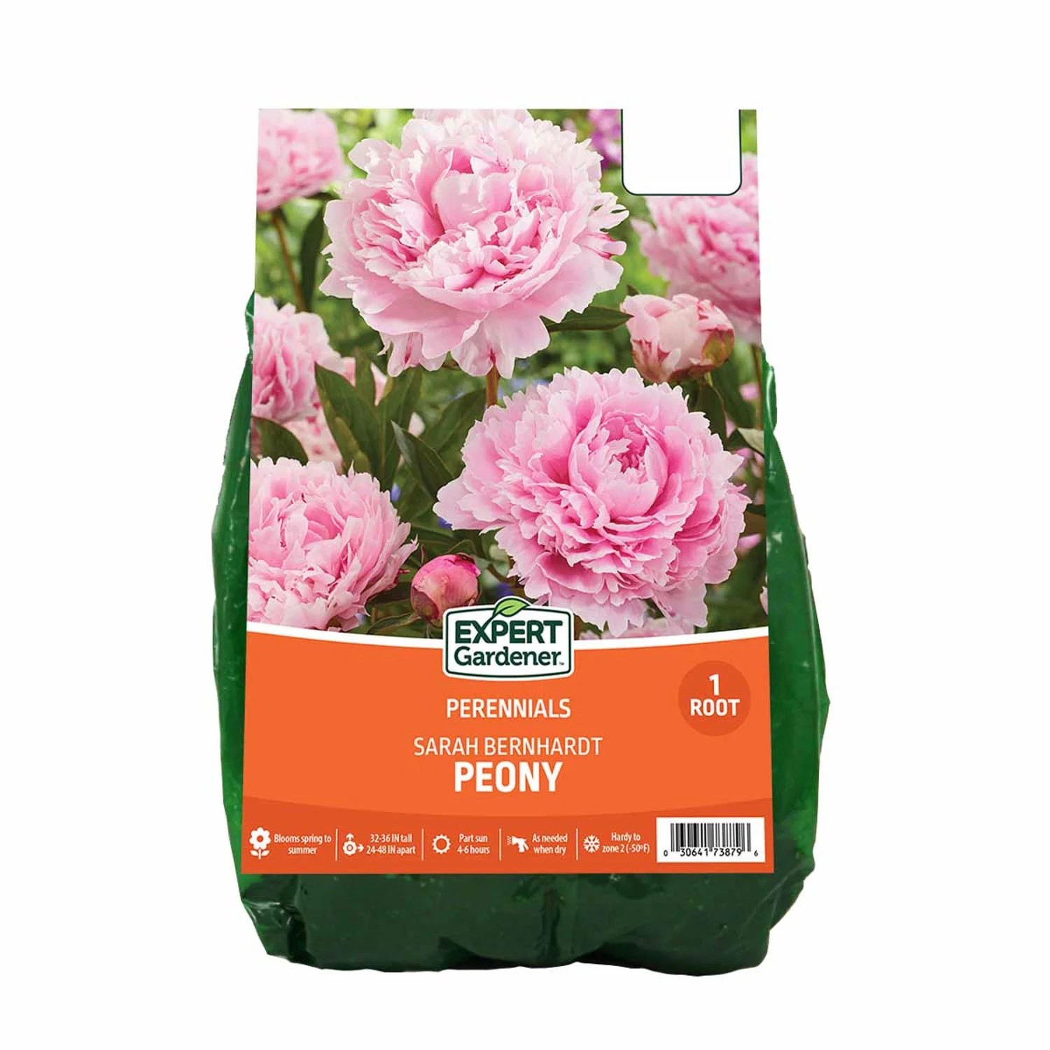 Expert Gardener Peony Sarah Bernhardt Dormant Bare Root, Partial Sun, Pink Perennial | Walmart (US)