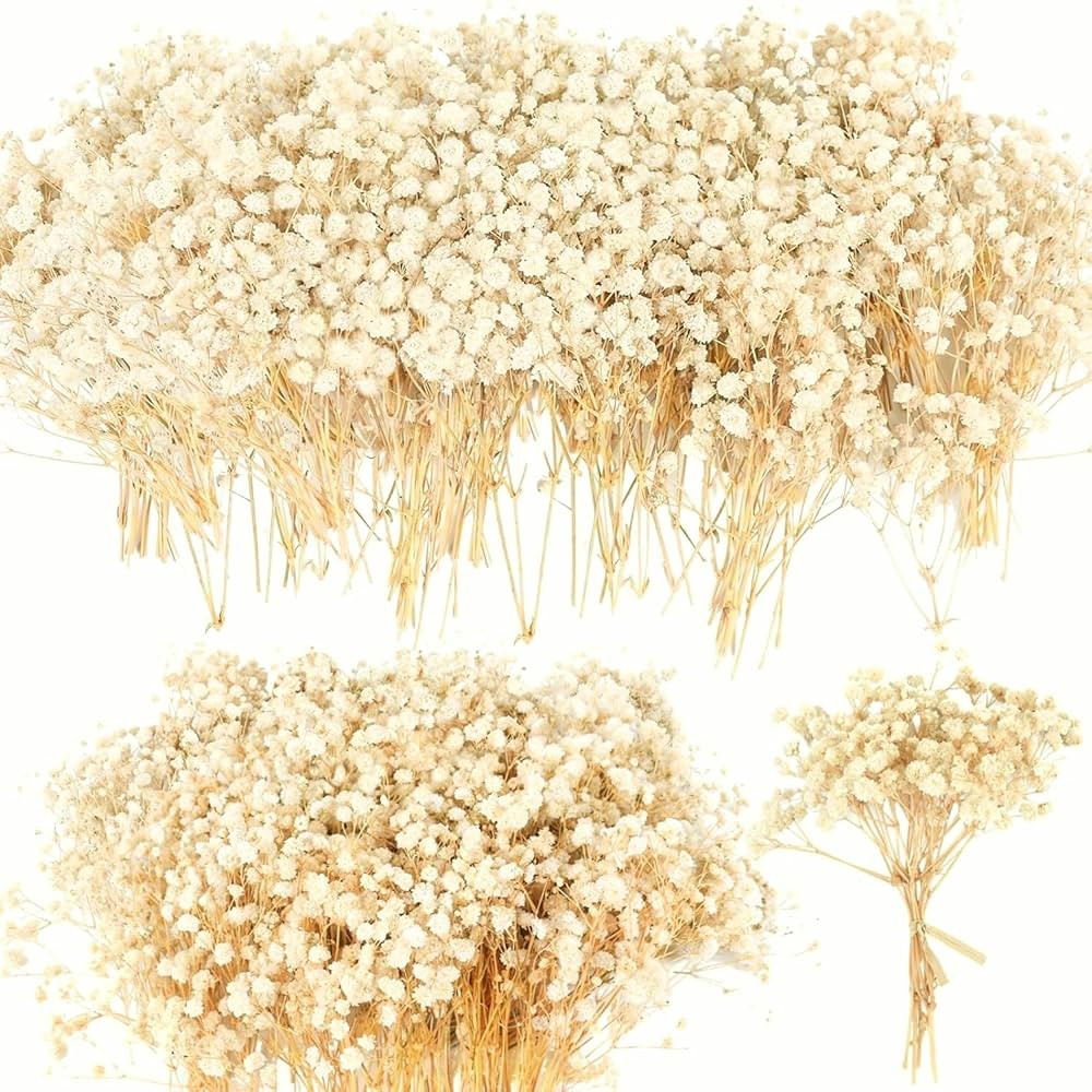 90+Pcs Mini Dried Babys Breath Flowers, 4700+ Natural Ivory White Baby Breath Flower Bulk, Real D... | Amazon (CA)