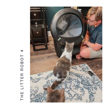 A WiFi-enabled, automatic, self-cleaning litter box for cats, this latest evolution of the Litter-Robot by Whisker is a game changer in cat care.



#LTKfamily #LTKhome #LTKGiftGuide
