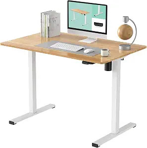 FLEXISPOT Standing Desk 48 x 24 Inches Height Adjustable Desk Whole-Piece Desktop Electric Stand ... | Amazon (US)