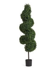 5ft Spiral Boxwood Tree | TJ Maxx