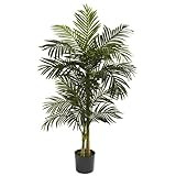 Nearly Natural 5ft. Golden Cane Palm Artificial Tree, Green | Amazon (US)