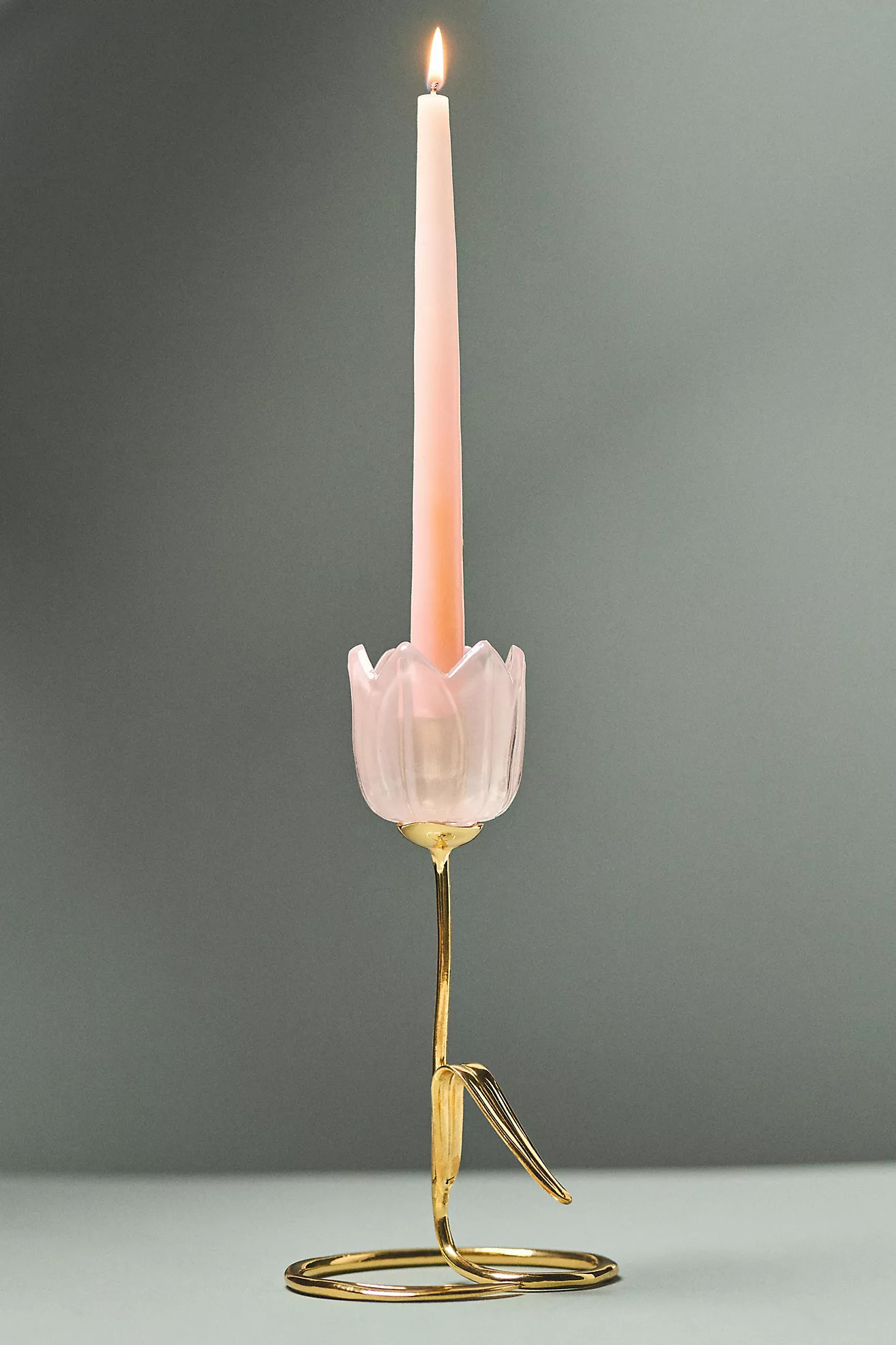 Tulip Brass Candle Holder | Anthropologie (US)