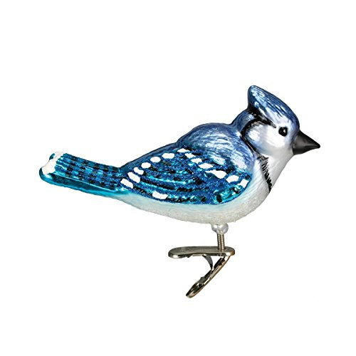 Old World Christmas Ornaments: Bird Watcher Collection Glass Blown Ornaments for Christmas Tree,Bright Blue Jay | Amazon (US)