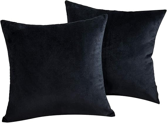 JUEYINGBAILI Throw Pillow Covers Velvet Decorative 2 Packs Ultra-Soft Black Pillowcase 18 x 18 In... | Amazon (US)