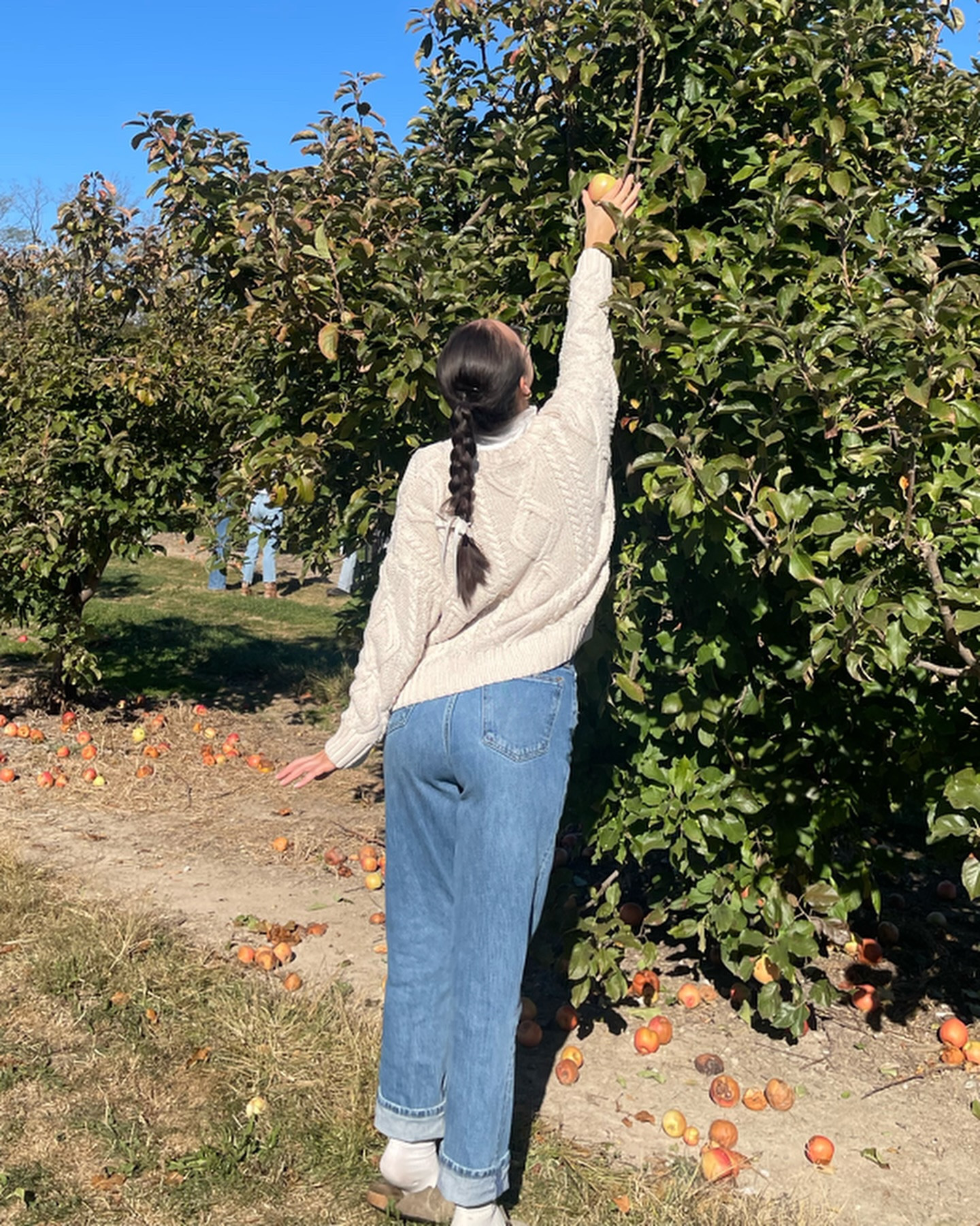 Apple picking with me🍎☁️🍁

I love fall vibes and traditions of going pumpkin picking 🍎🍁✨

Products:
@princespollyboutique.official 
@abercrombie 
@kohls 

#autumn #autumnvibes #fall #applepicking #fallfit