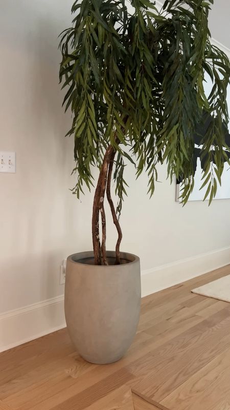 amazon concrete planter! Amazing quality! Great large size. Comes in multiple colors. #amazonhome #home #planter #pot 

#LTKhome #LTKstyletip #LTKFind