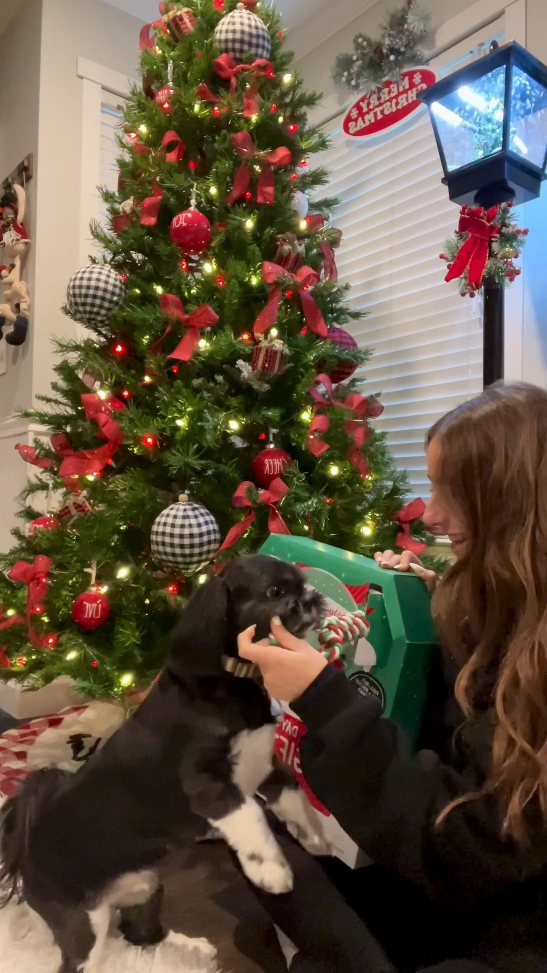 the most perfect doggy adventure calendar🥹♥️ 

#LTKGiftGuide #LTKHoliday #LTKSeasonal