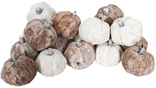 Dried Exotics Pumpkins 18 Pieces White/Natural Assorted 9"x6"x5" for Bowl or Vase Filler | Amazon (US)