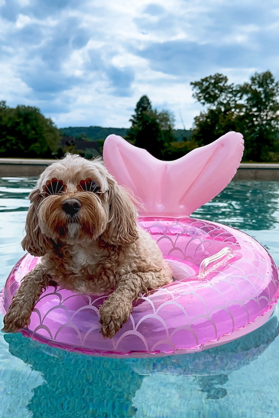 Pool day

#LTKKids #LTKSwim #LTKSeasonal