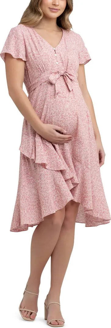 Vanessa Floral Print Maternity/Nursing Dress | Nordstrom