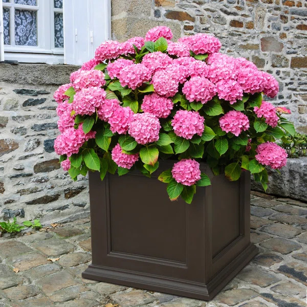 Anastasiya Planter Box | Wayfair North America