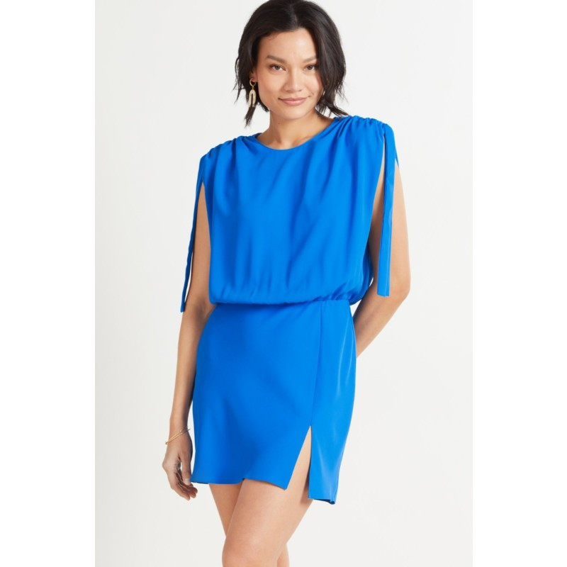 AMANDA UPRICHARD Olympus Dress | EVEREVE | Evereve