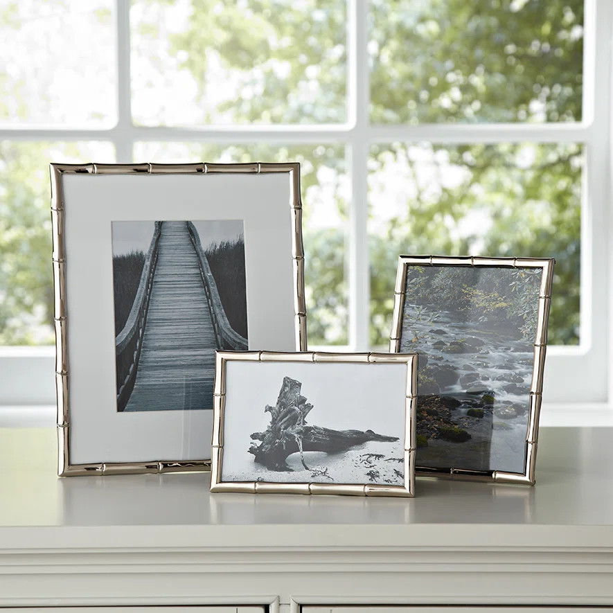 Antonia Silver Metal Gilded Picture Frame | Wayfair North America