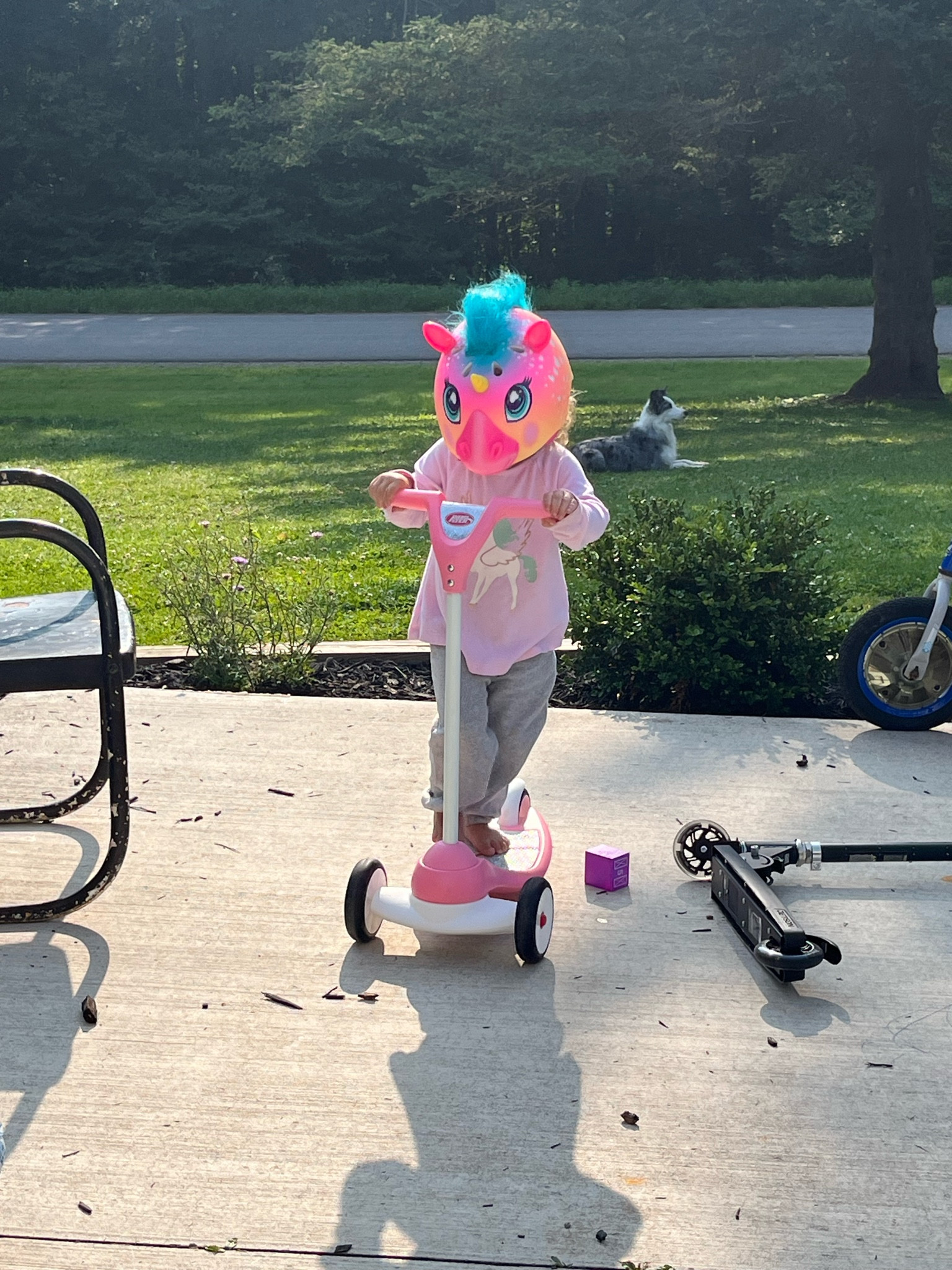 Early morning scooter riding. This 3 wheeled scooter is perfect for littles just learning to ride.

#LTKFamily #LTKKids #LTKSeasonal